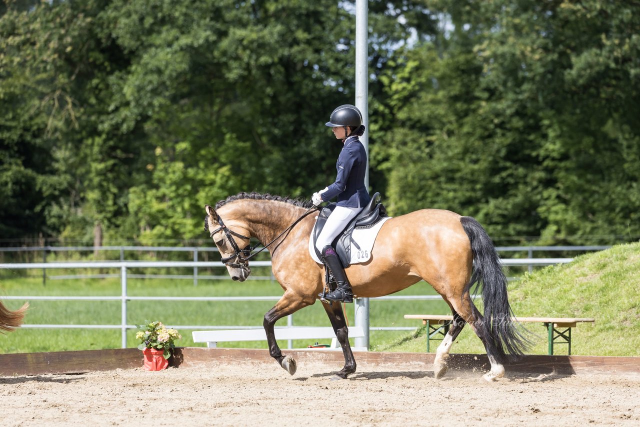 Bild 372 - Pony Akademie Turnier
